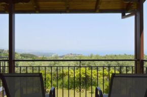 View of the Castle and the Sea 1